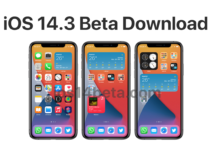 iOS 14.3 Beta Download