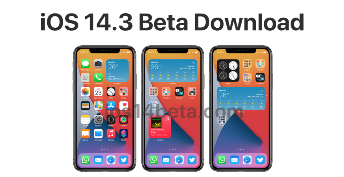 iOS 14.3 Beta Download