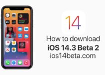 iOS 14.3 Beta 2 Download